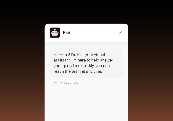 Fini AI assistant